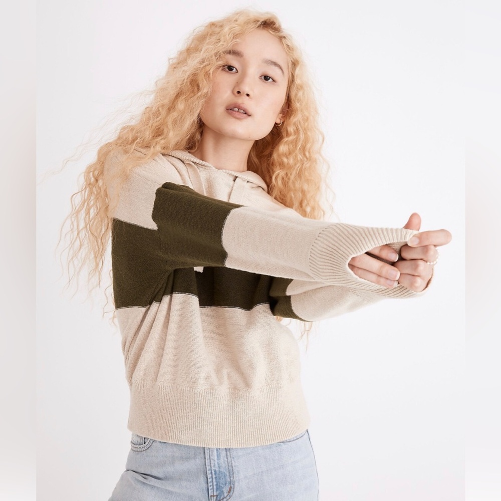 NWOT Madewell Hoodie Sweater in Colorblock